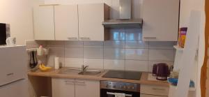 Apartman Vigo,Fužine