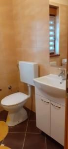 Apartman Vigo,Fužine