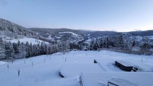 Maisons d'hotes Chalet Terejo & spa : photos des chambres