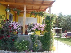 Apartment Luna 4 person