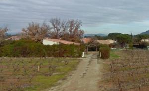 Gîte dans les vignes