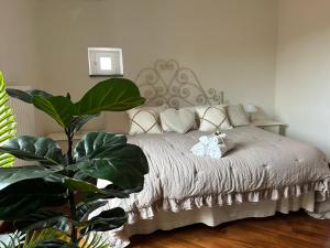 Cortonas Rooftop Nest