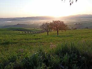 Podere Travagliola