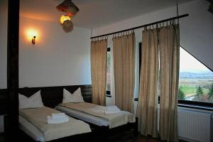 Taverna Pietrei Craiului