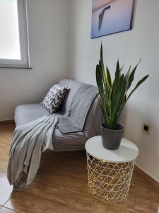 Apartma DOLORES