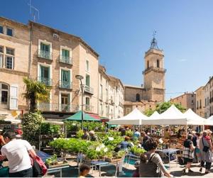 Appartements Mes a Moi in Pezenas - Studio & patio privatif - O Pitchoun : photos des chambres