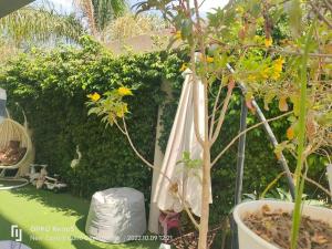 2 Bedroom+Garden, Lakes near AUC