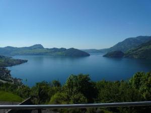 obrázek - Vierwaldstättersee Panorama