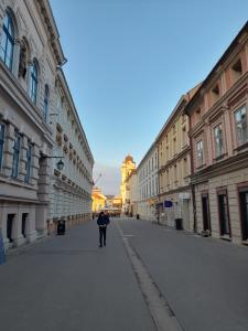 Piata Unirii- 1 Room Studio Apartment