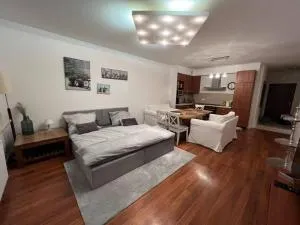 Beautiful ground floor apartment in Warsaw - Bornerowo