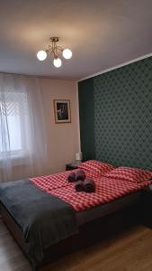 Apartament w Centrum Cichy Zakątek