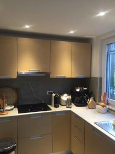 Apartment in Klek 43528