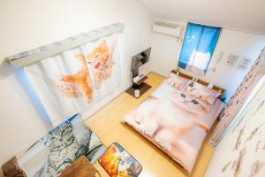 Tokyo Shibuya Shinjyuku Cat House !