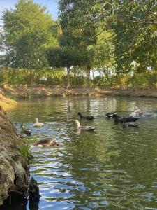 Casa Finca La Maquinaria