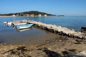 Apartments by the sea Zdrelac, Pasman - 20583