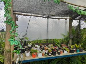 Finca Hotel La Venia Bendita Quindio