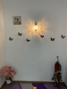 Homestay Redup
