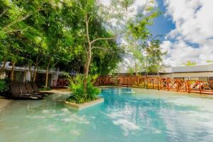 DK31 Wifi 600mb, Cheap Scooters by Moikkarentals