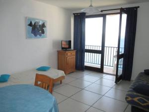 Appartements Appartement Banyuls-sur-Mer, 2 pieces, 5 personnes - FR-1-225C-333 : photos des chambres