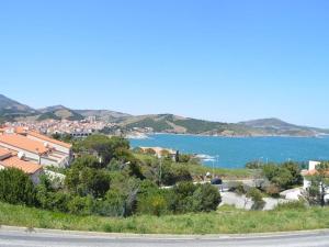 Appartements Appartement Banyuls-sur-Mer, 1 piece, 4 personnes - FR-1-225C-535 : photos des chambres