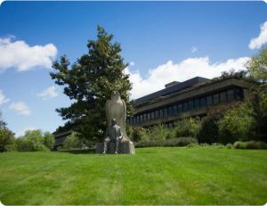 Campolide Green Door Studio