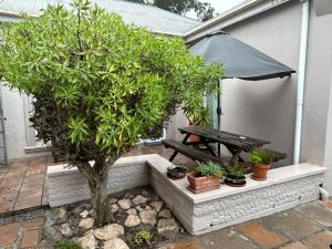 Cozy Corner Backpackers