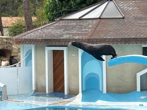 Maisons de vacances Lovely ecolodge with year-round heated pool in Charente-Maritime : photos des chambres