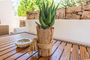 Tia Maria Country Inn - exclusive