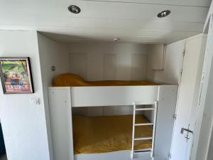 Appartements Studio pour 2 a 4 personnes sous les Pins climatise : Studio