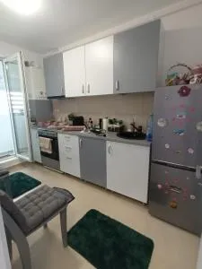 Garsoniera Monique Luxury - Rudeni