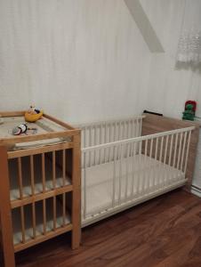 Ferienwohnung mit Elbwiesenblick