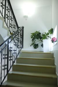 Casa Coral Mamaia Nord