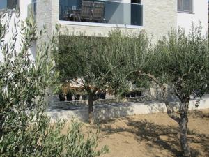 Olives Garden