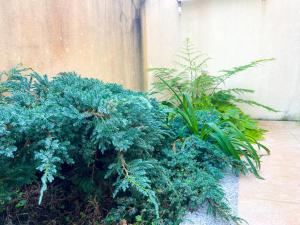 Appartement - Plage de Furadouro - Ricos Homes