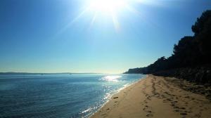 Maisons de vacances Forest and thalasso beach a few meters : photos des chambres