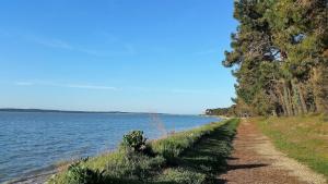 Maisons de vacances Forest and thalasso beach a few meters : photos des chambres