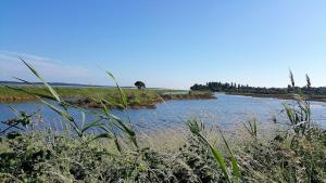 Maisons de vacances Forest and thalasso beach a few meters : photos des chambres