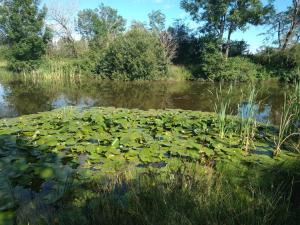 B&B / Chambres d'hotes LES DAMES DE LA SAUGIAT : photos des chambres