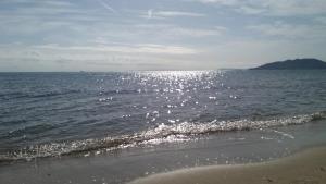 Crystal Home near Airport