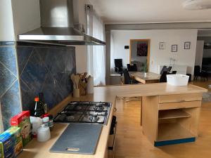Apartment Q im Zentrum von Königsbronn Monteurzimmer