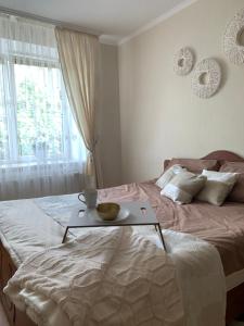 Центр (2). Простора квартира. С. Крушельницької