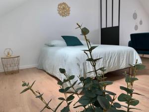 Appartements Florimond cosy apparts : photos des chambres