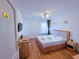 Vila Victoria Moldovița