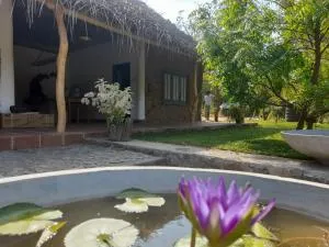 Gange Wadi Wilpattu - 维勒珀图