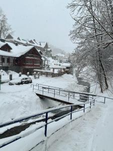 Domek nad Kryniczanką