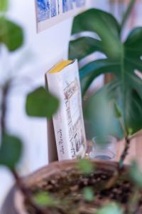 Malý byt s balkonem & free parking