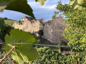 Maisons d'hotes Le Refuge du Rempart : photos des chambres