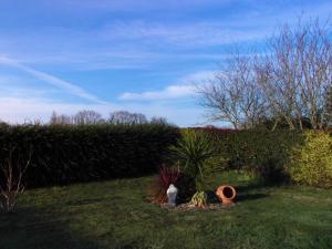 Maisons de vacances Maison de 4 chambres avec jardin clos et wifi a Tregomeur a 5 km de la plage : photos des chambres