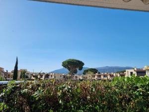 Studio cabine 4 pers. RDC, terrasse sud, 300m plage et commerces - FR-1-388-205