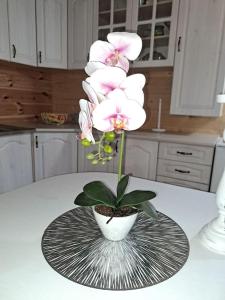 Olive & sea, Luxury two bedrooms cabin for 8